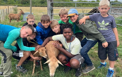 Abenteuer, Tiere und kreative Erlebnisse